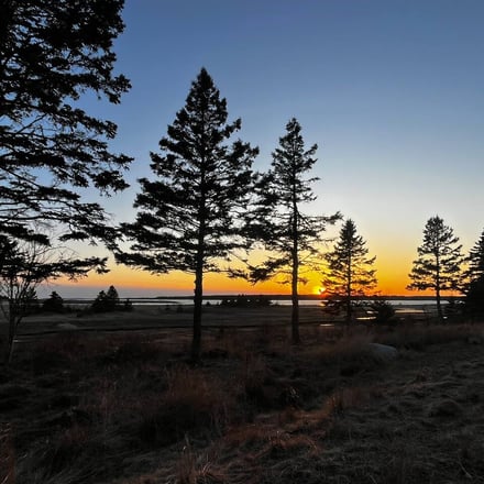 Coastal treeline silhouetted against a vivid orange and blue sunset